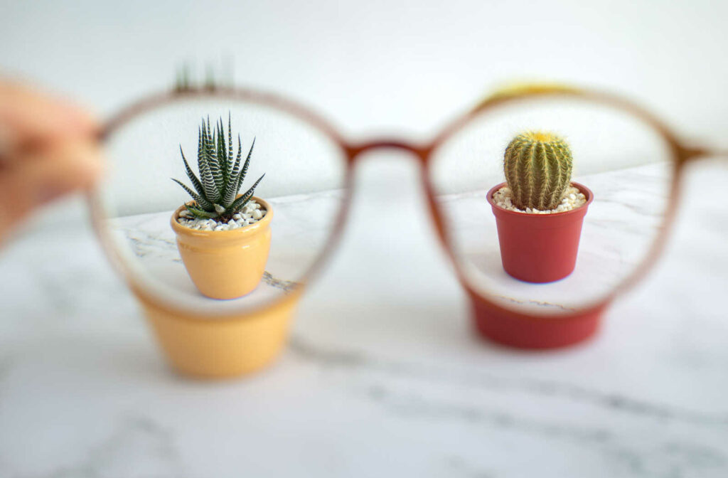 Two cacti seen through each lens of a pair of glasses being held up.