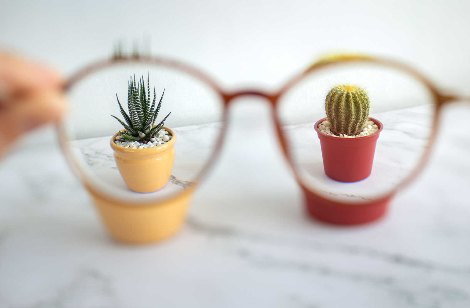 A hand holding a pair of glasses with a small cactus seen in each lens, showing the clarity of corrective lenses.